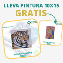 🎨PINTURA DIAMANTE 5D - ¿Por qué pintar con colores cuando puedes pintar con diamantes?