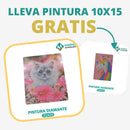 🎨PINTURA DIAMANTE 5D - ¿Por qué pintar con colores cuando puedes pintar con diamantes?