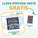 🎨PINTURA DIAMANTE 5D - ¿Por qué pintar con colores cuando puedes pintar con diamantes?