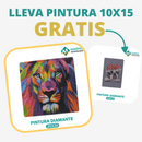 🎨PINTURA DIAMANTE 5D - ¿Por qué pintar con colores cuando puedes pintar con diamantes?