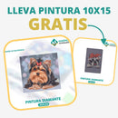 🎨PINTURA DIAMANTE 5D - ¿Por qué pintar con colores cuando puedes pintar con diamantes?