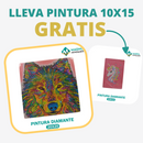 🎨PINTURA DIAMANTE 5D - ¿Por qué pintar con colores cuando puedes pintar con diamantes?