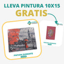 🎨PINTURA DIAMANTE 5D - ¿Por qué pintar con colores cuando puedes pintar con diamantes?