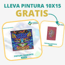 🎨PINTURA DIAMANTE 5D - ¿Por qué pintar con colores cuando puedes pintar con diamantes?