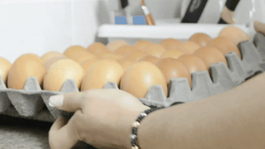 🥚EggSaver™ Organizador de Huevos